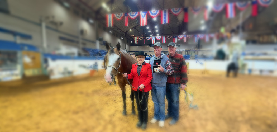 Texas Paint Horse Club
